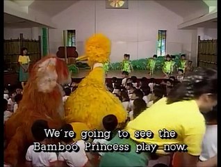 Big Bird in Japan Part 4