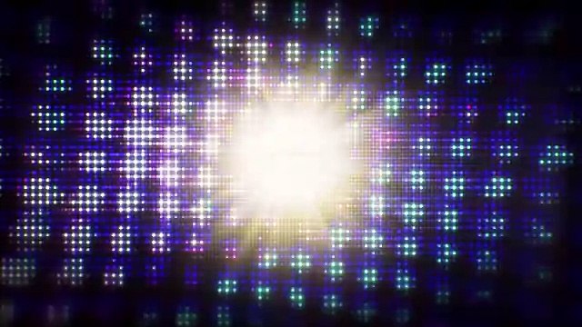 Mews-flash! It's Britain's Cleverest Cat semi-finalists - Britain's Got Talent 2014