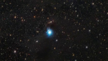 Zooming In On The Young Star In The Reflection Nebula IC 2631 - HD