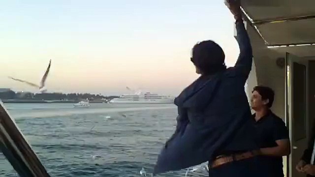 Muhammad Irfan Catches a Flying Seagull with his bare hands