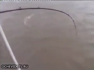 Ловили рыбу, а поймали крокодила! Случай на рыбалке. Необычная рыбалка