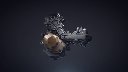 Ducati Testastretta DVT Engine