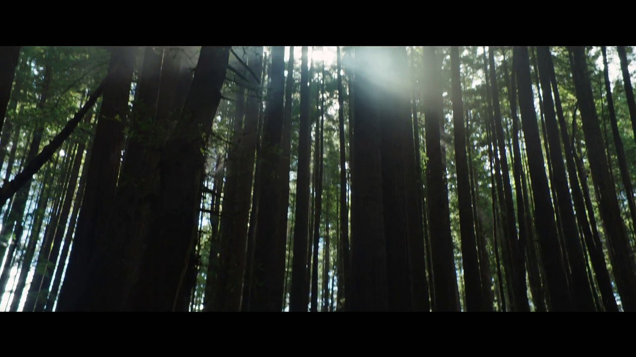 Pete's Dragon