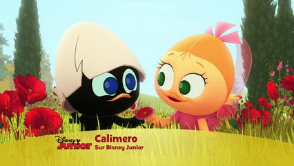 Calimero, nouvelle série - Le petit poussin au grand coeur !