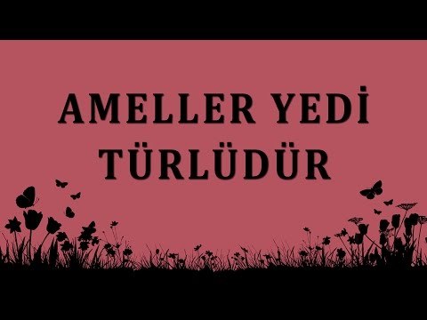 Ameller yedi türlüdür - Sorularla İslamiyet - Sorularla İslamiyet