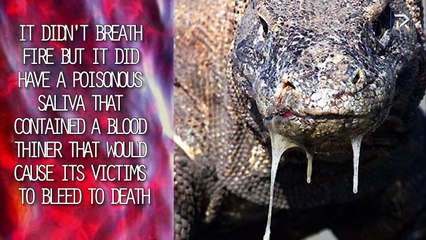 Mythical Creatures That Actually Existed (2)