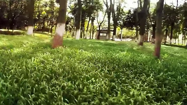 Walkera RUNNER 250 by 7G SPORTS