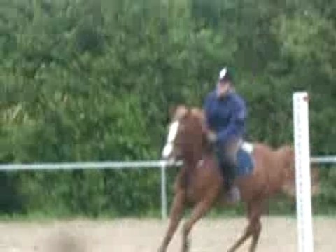 Moi et mon cheval au galop