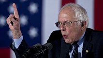 Bernie Sanders insists he isn't a single-issue candidate