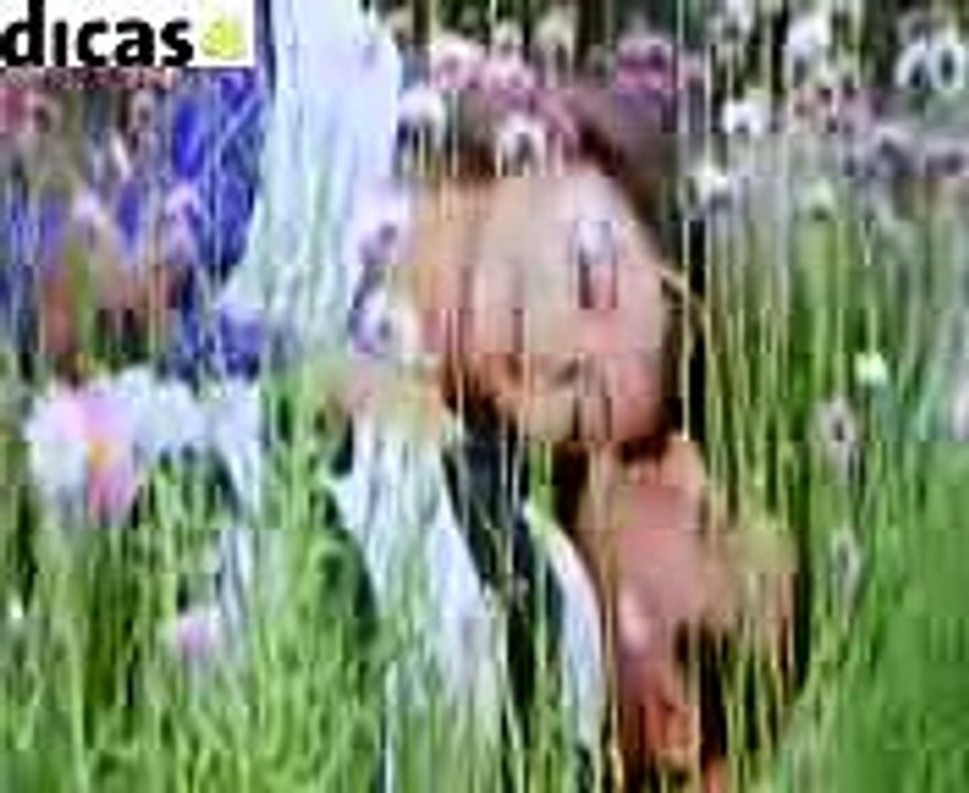 AA ABLOT CHALAIN