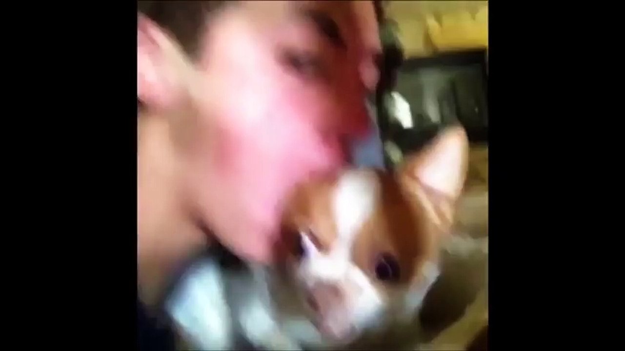 Funny Dogs Video Compilation 2015