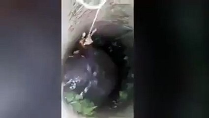 இதை தான் தன முயற்சியில் சற்றும் மனம் தளராத விக்ரமாதித்த