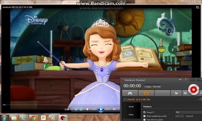 Prenses Sofia Kötü Sofia