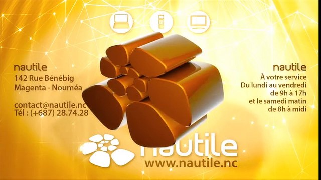 Ils braquent une librairie et vol un minitel (Nautile Nouvelle-Calédonie - ADSL et Fibre optique)