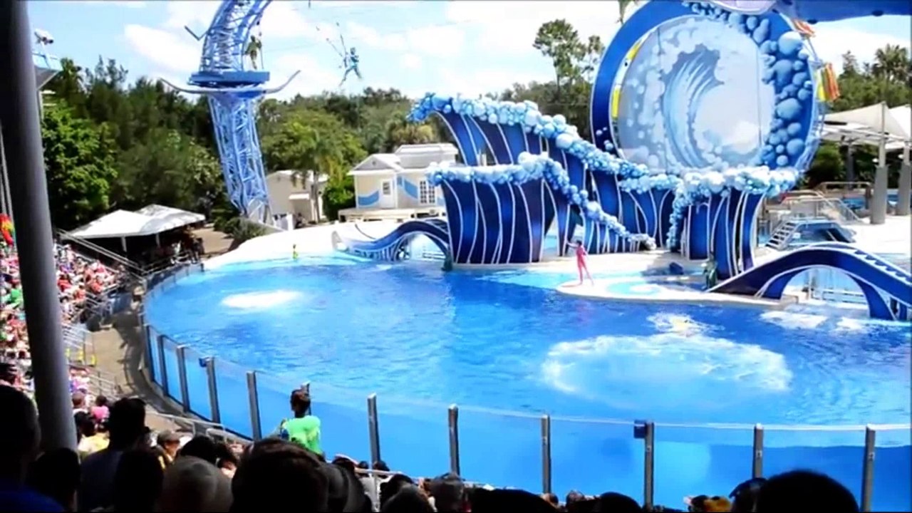 Blue Horizons Dolphin Show 2015 at SeaWorld Orlando Florida