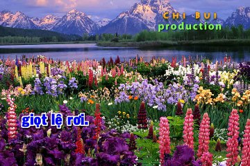 BÀ NĂM Phương Mỹ Chi -KARAOKE-BEAT GỐC