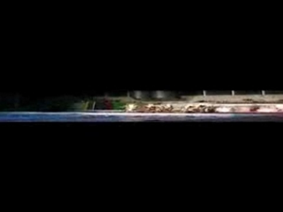 Clip gala syncro 2