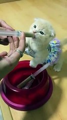 Miniğin Karnı Çok Acıkmış..