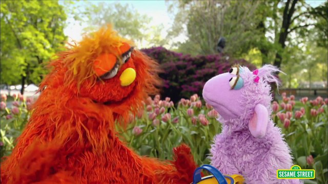 Sesame Street: Murray Goes to Drumming School