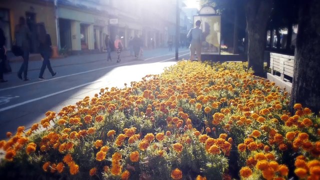 turhal imsa asansör video