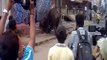 KILLER ELEPHANT ATTACK IN KERALA INDIA
