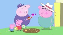 Peppa Pig - Peppa and Georges Garden (Full Episode)