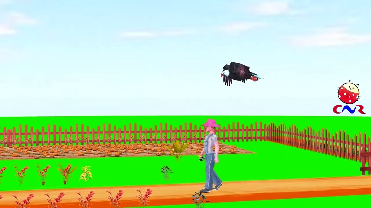 Finger Family Nursery Rhymes for Children Eagles Cartoon | Finger Family Children Nursery