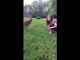 Fawn Lets Girl Pet Her & Learns How to Walk!!
