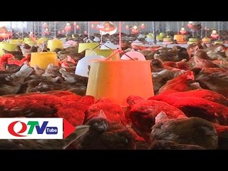 Thực phẩm an toàn dồi dào trong dịp Tết | QTV