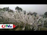 Băng tuyết hiếm thấy ở Bình Liêu, Yên Tử | QTV