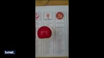 AK Parti'ye Oy Atıp Ülkücü İşareti Yapan MHP'li