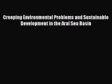 PDF Creeping Environmental Problems and Sustainable Development in the Aral Sea Basin Free