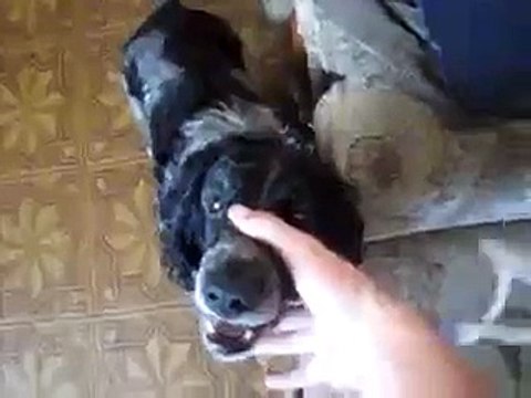 самый крутой битбокс