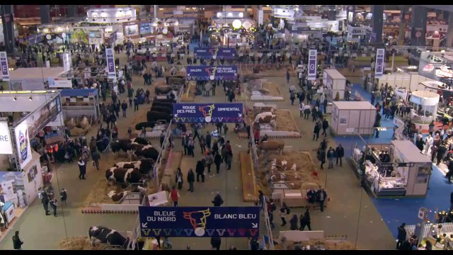 Bande annonce du film Saint Amour