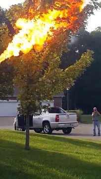 Man bursts Hornets Nest with a Flamethrower