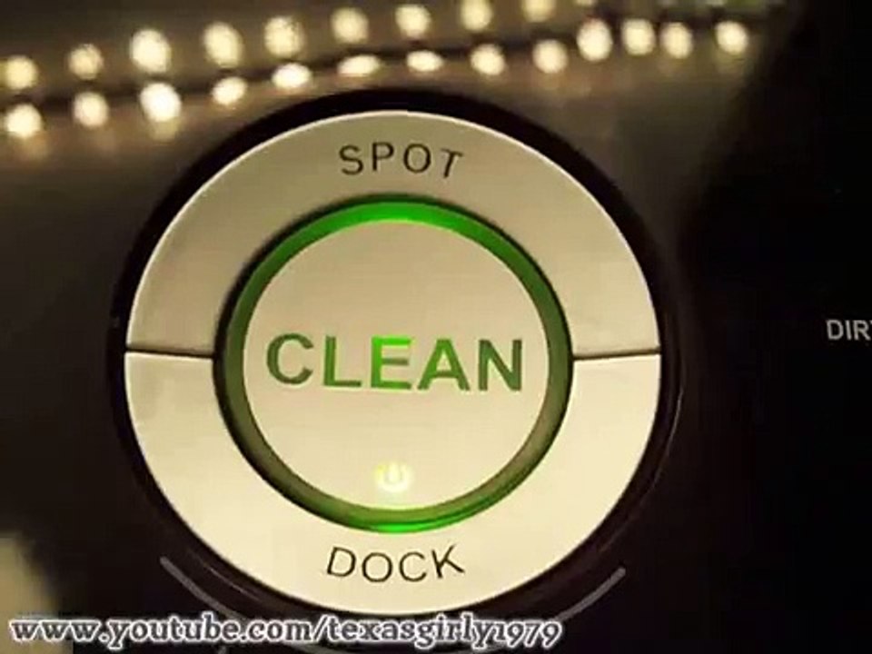 ROOMBA driver Cat uses iRobot Roomba 560 Robotic Vacuum Cleaner. HelensPets.com