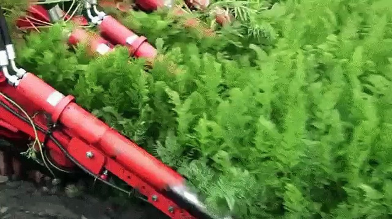 Interesting Video # 13