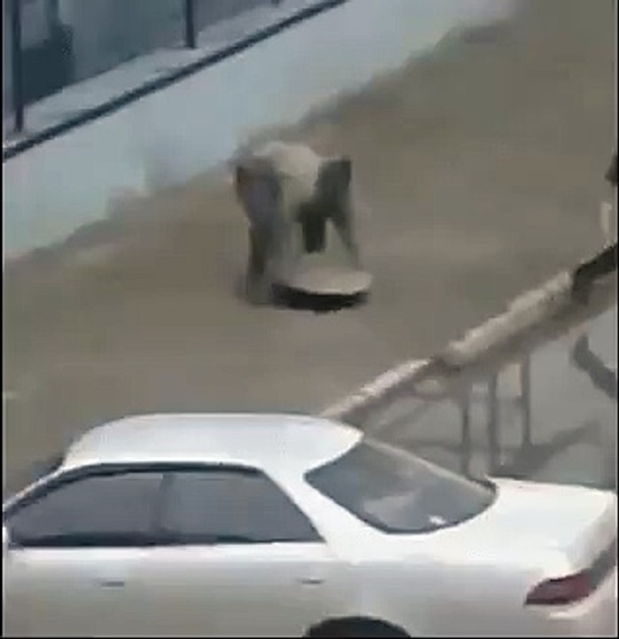 Interesting Video # 1