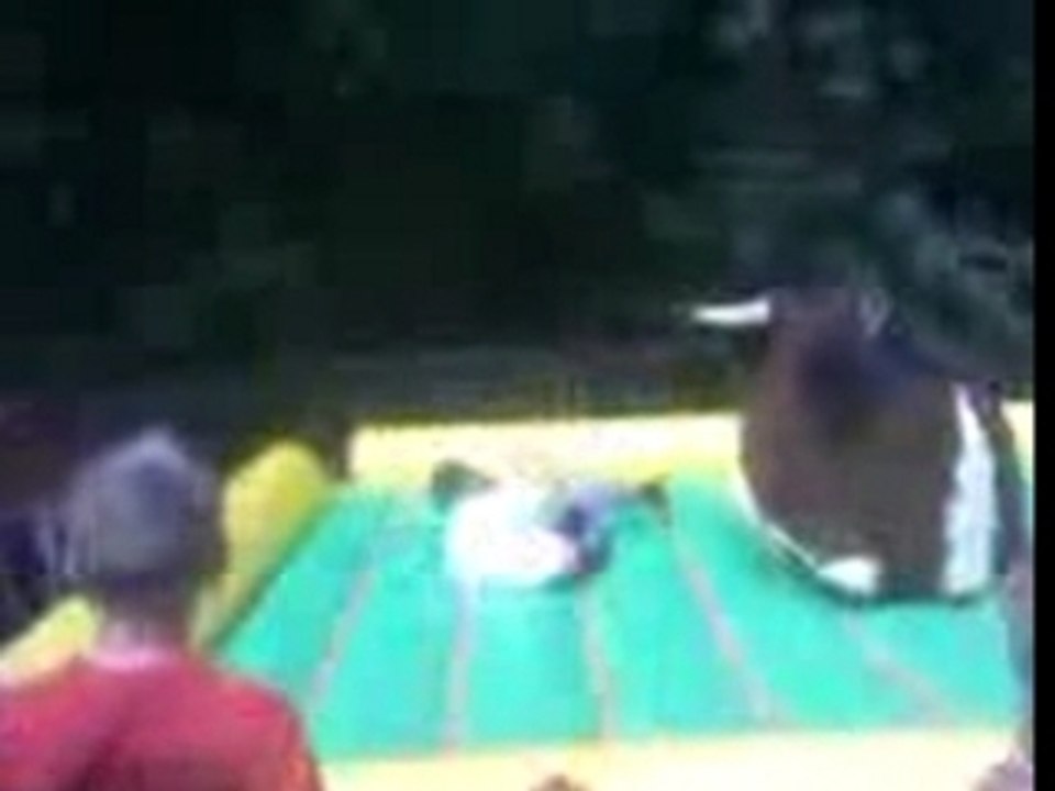 Romain et la vache