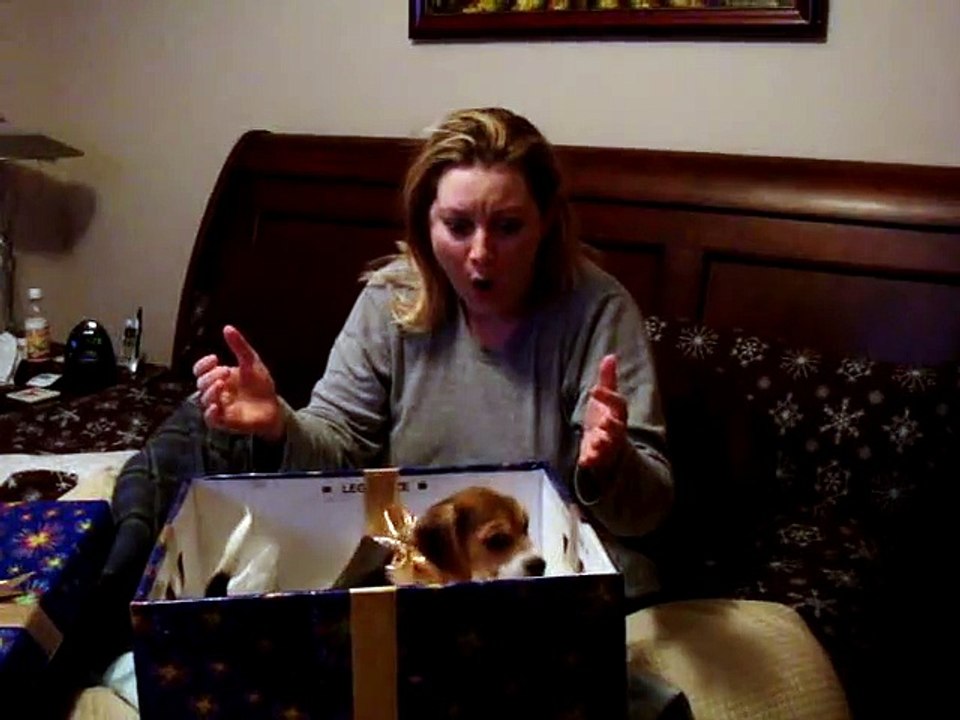 Surprise! It s a puppy