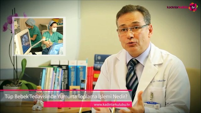 Tüp bebek tedavisinde yumurta toplama işlemi nedir ?