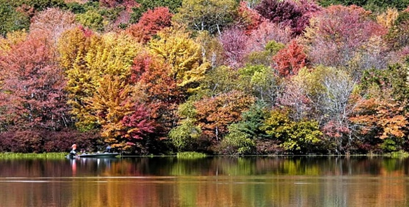 안전토토 【ャ】GT-77WAY。ＣoＭ【ャ】카톡문의:Acac365