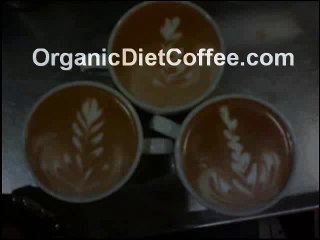 Certified Organic Coffee Business Part 1