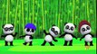 Bao Panda | ABC Song | Learn Alphabets | Songs For Kids And Childrens