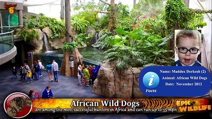 8 Most Devastating Animal Attacks