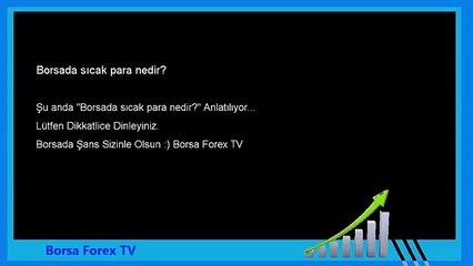Forex  Borsada sıcak para nedir
