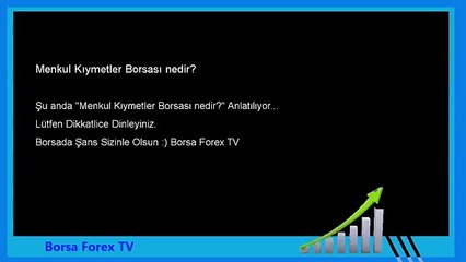 Forex Eğitim Menkul Kıymetler Borsası nedir