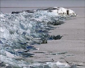 Le phénomène naturel de la glace du Lac Supérieur qui vient se briser contre le bord