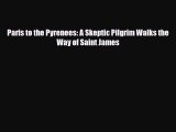 PDF Paris to the Pyrenees: A Skeptic Pilgrim Walks the Way of Saint James Read Online