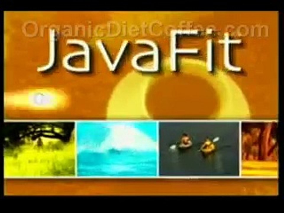 Javafit Business Opportunity